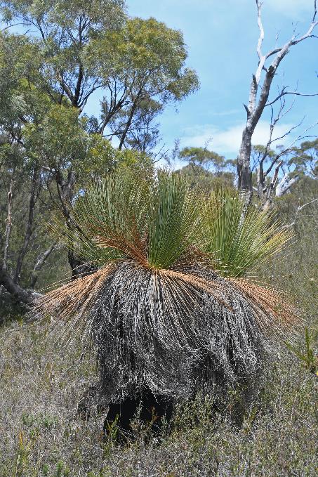 D:\DataFoto\Foto's - Reizen\2024-10-31b Tasmanie\69 Freycinet NP Wineglass Bay\Best Of\AUT_4254y.jpg