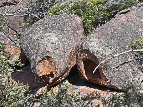 D:\DataFoto\Foto's - Reizen\2024-10-31b Tasmanie\71 Freycinet NP Sleepy Bay\Best Of\AUT_4382q.jpg