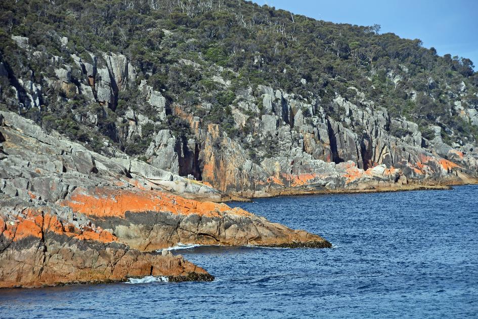 D:\DataFoto\Foto's - Reizen\2024-10-31b Tasmanie\71 Freycinet NP Sleepy Bay\Best Of\AUT_4401y.jpg