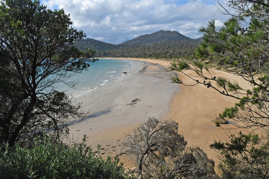 D:\DataFoto\Foto's - Reizen\2024-10-31b Tasmanie\72 Freycinet NP Richardsons Beach\Best Of\AUT_4402y.jpg